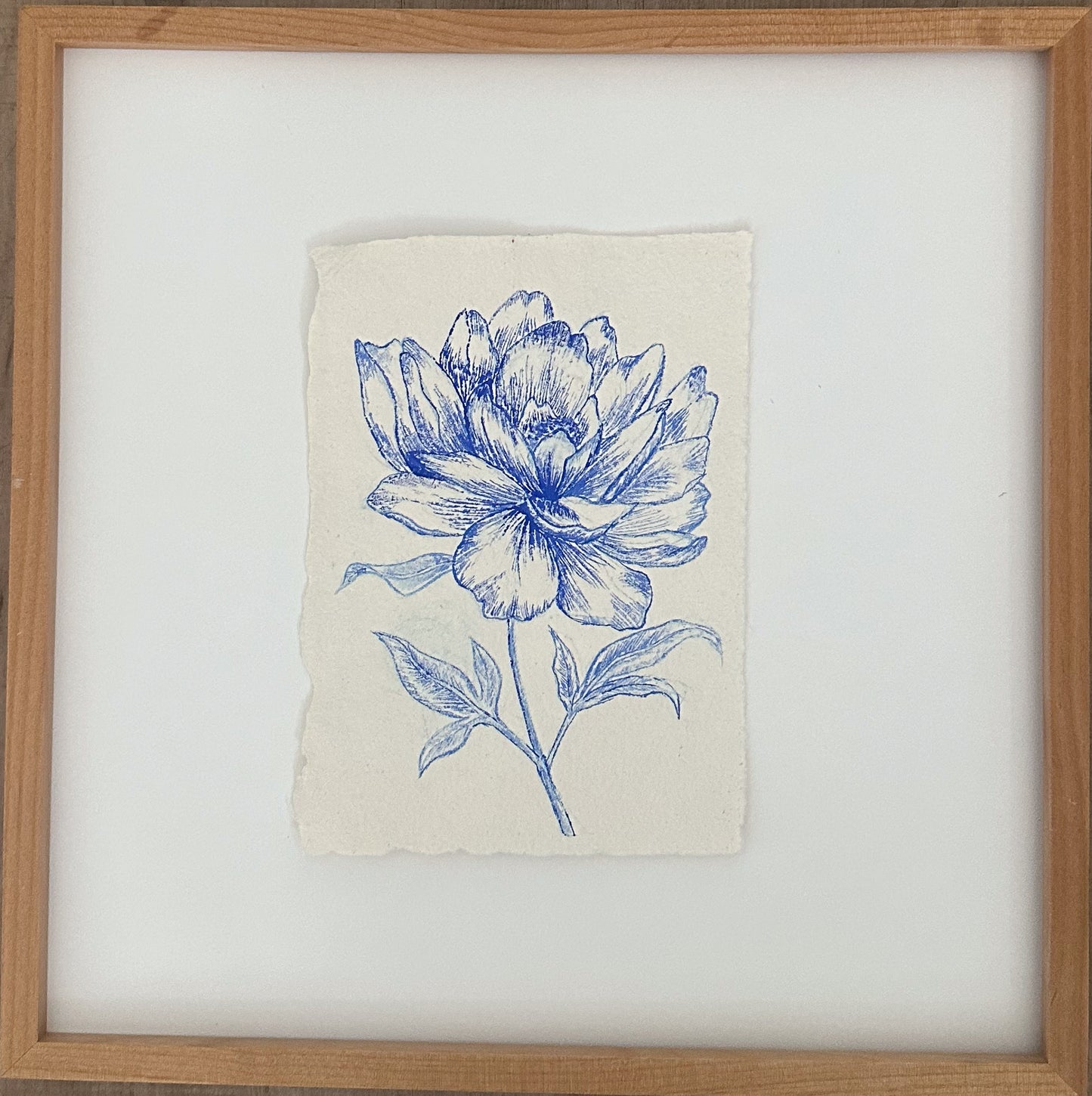 Peony Study in Blue