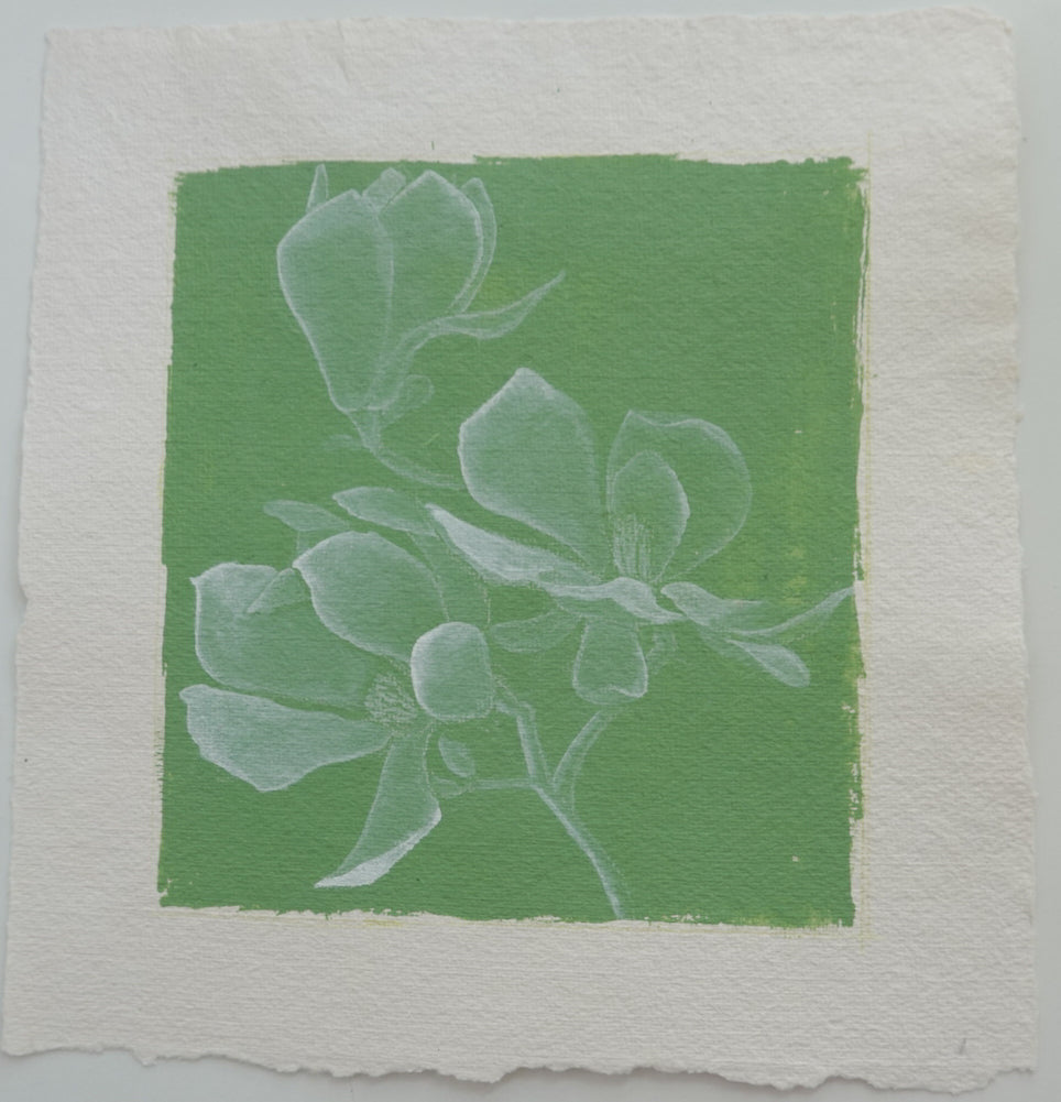 Magnolia study no.1