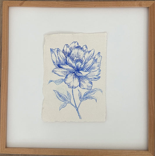 Peony Study in Blue