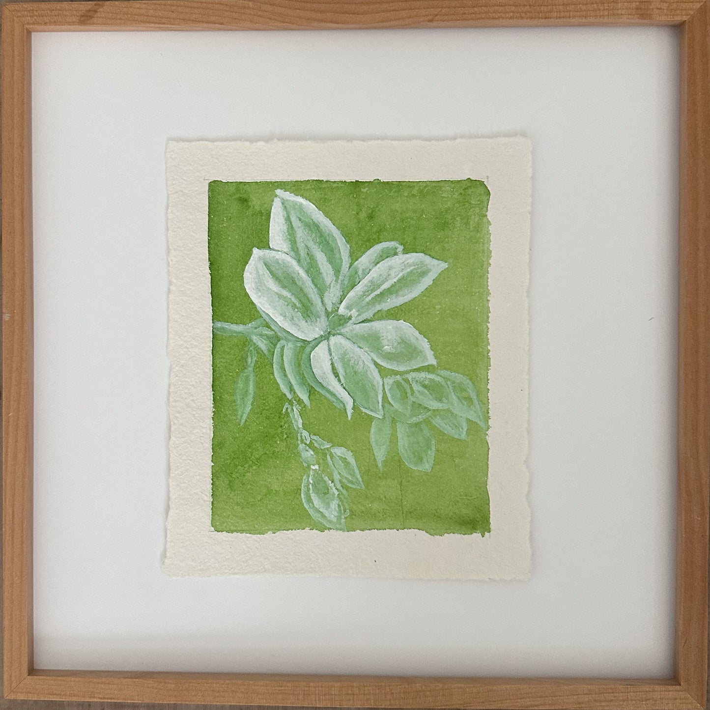 Magnolia 3