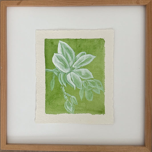 Magnolia 3