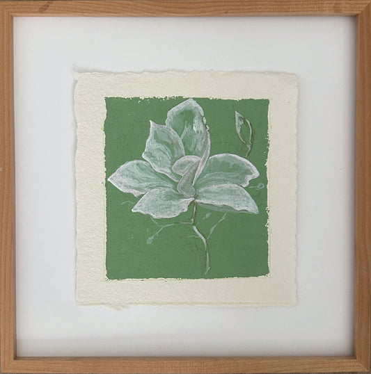 Magnolia 4