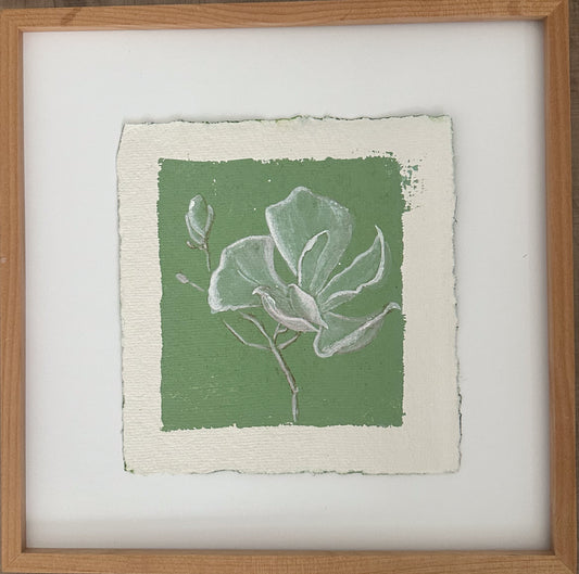 Magnolia 5