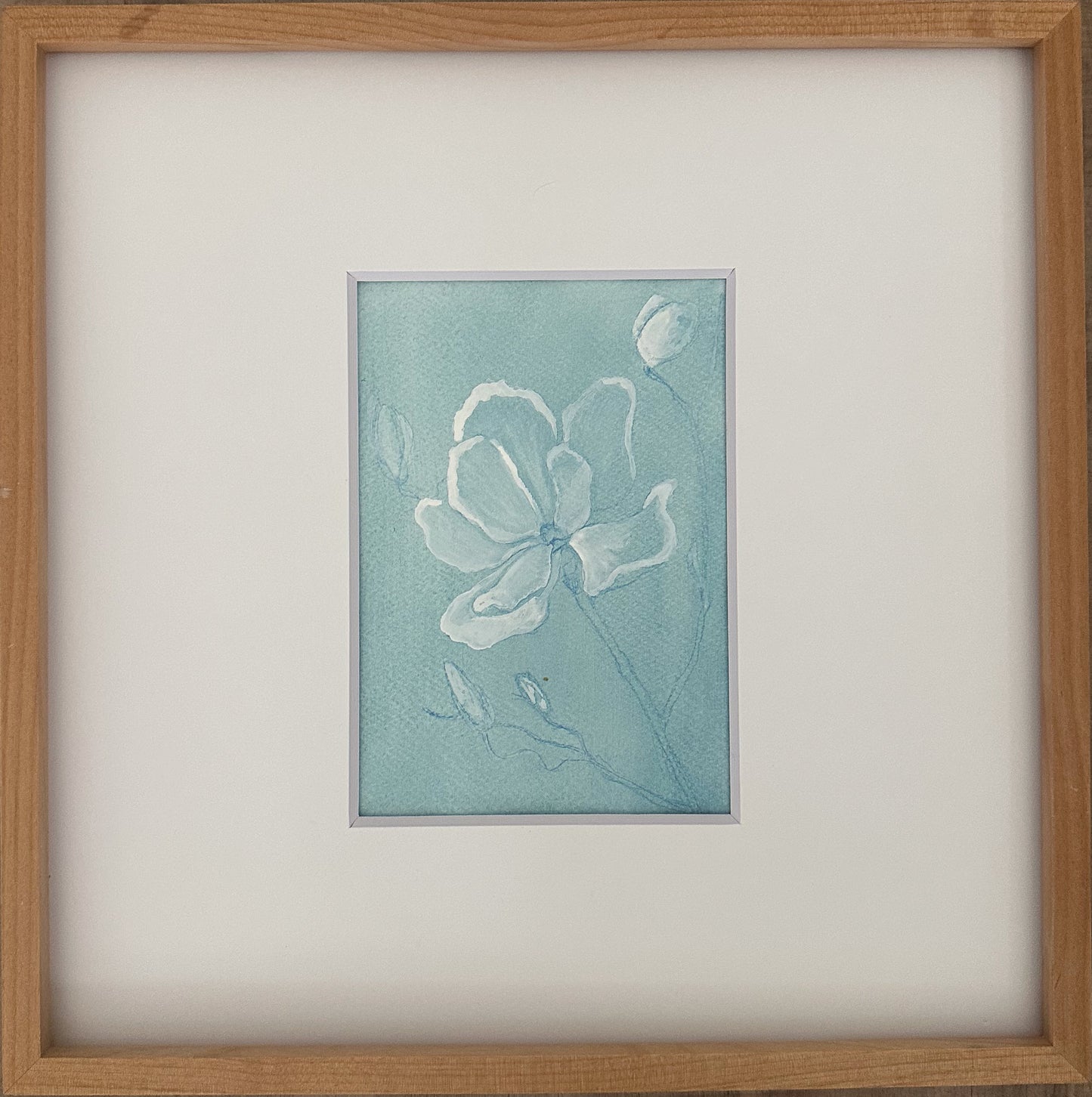 Magnolia 7