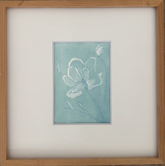 Magnolia 7