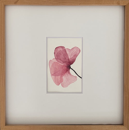 Pressed Flower 1