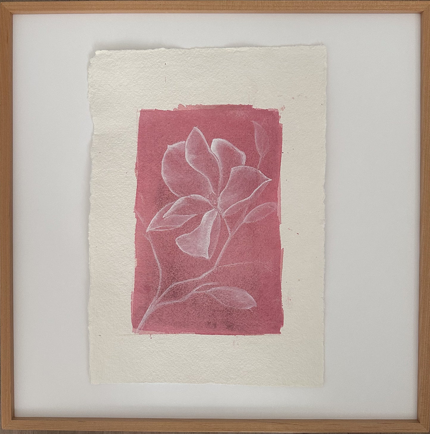 Magnolia 9