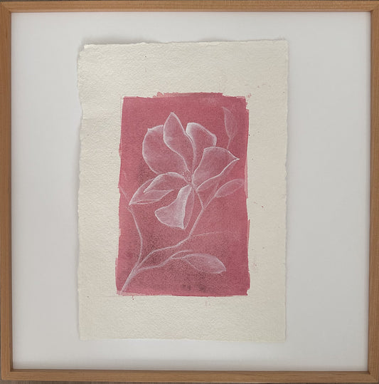 Magnolia 9